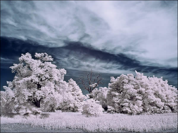 Cloud Waves