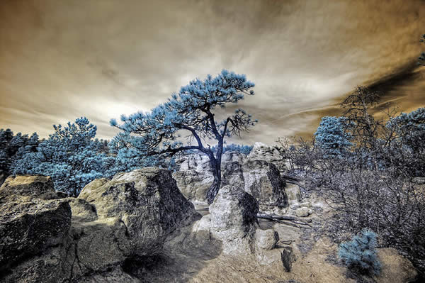 Infrared HDR Palmer Park Colorado Springs