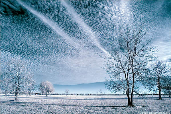 Cold Sun 3