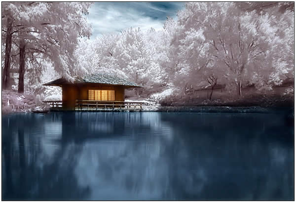 Japanese Tea House