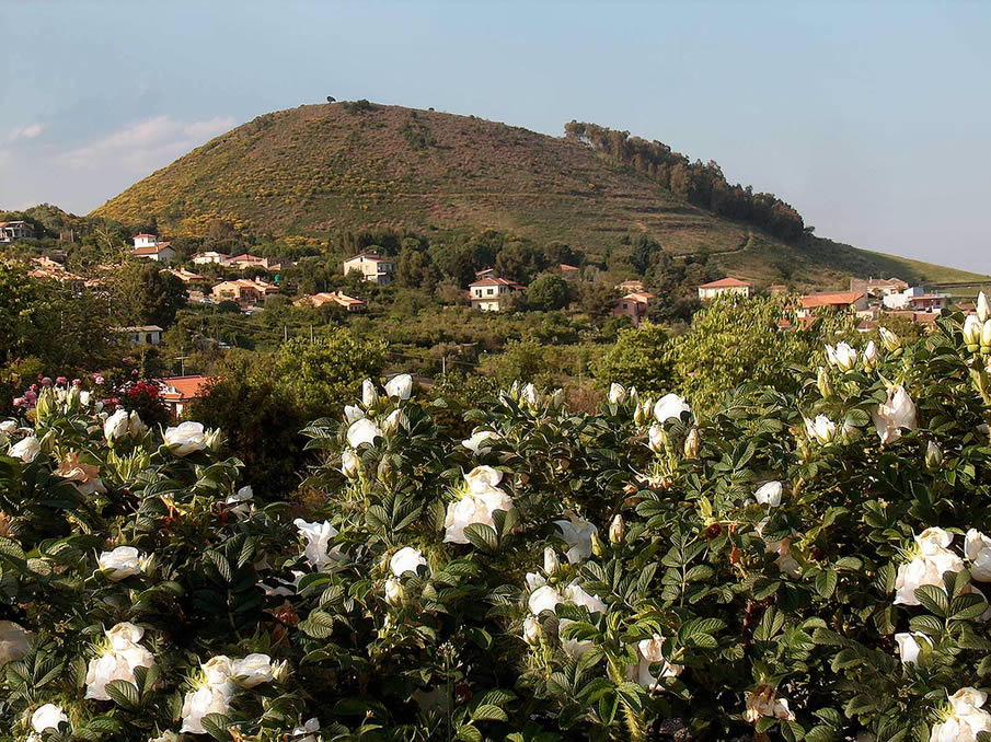 Monte Serra, Viagrande. Sicily