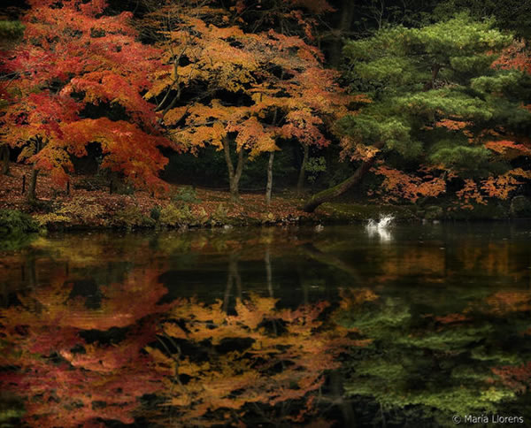Kioto. Japan Colors