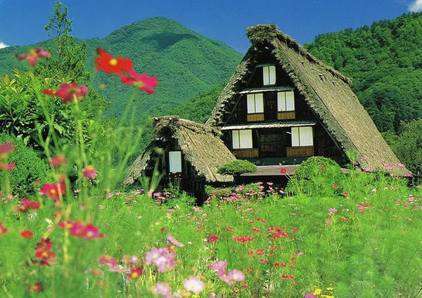Shirakawago Village, Япония