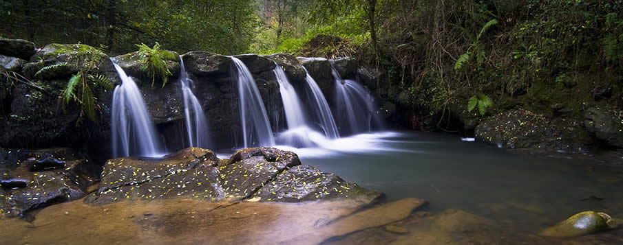 Arroyo de Callejamala