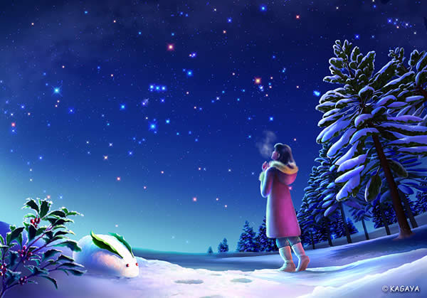 Stars over Snow