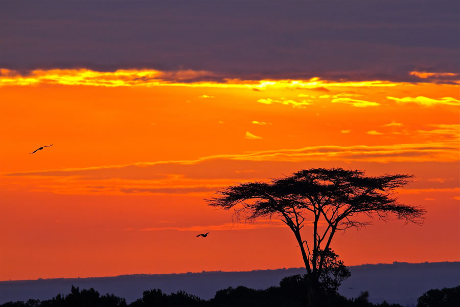 Sunset at Kenya