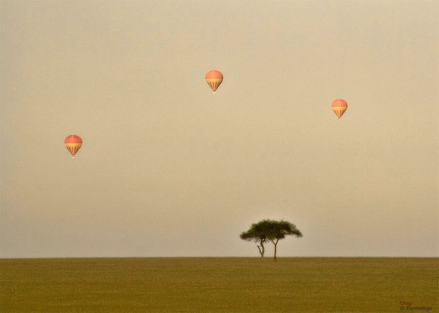 Hot Air Balloon Safari