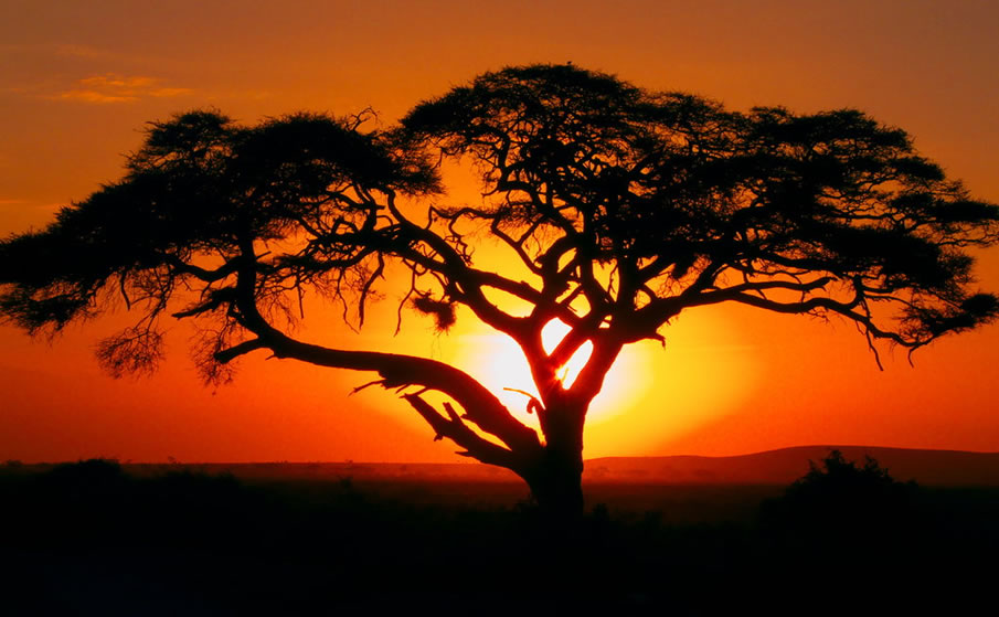 Kenya Sunrise