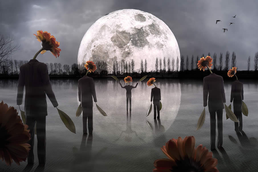 The Mysterious Cult