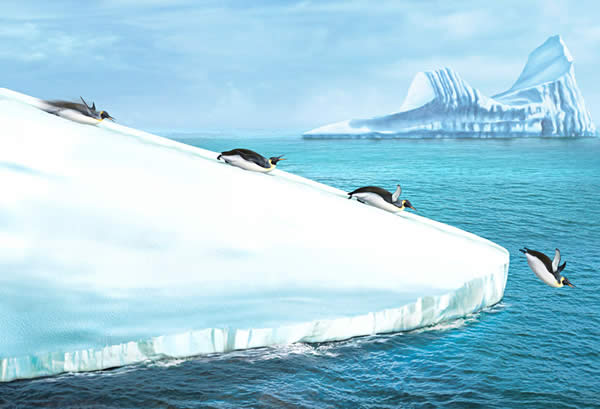 Penguins Fun