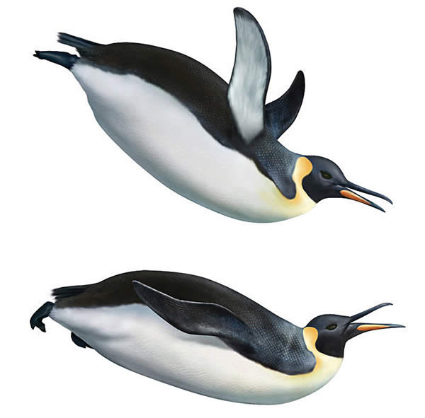 Two Penguins