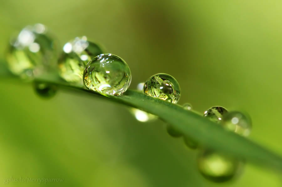 Magic in Water