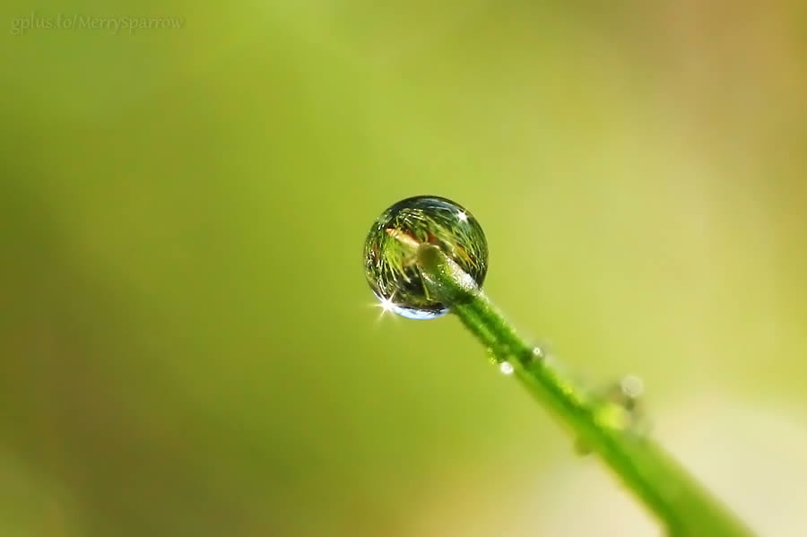 Simplicity