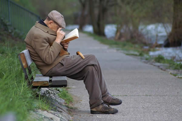 Old Man on a Bench