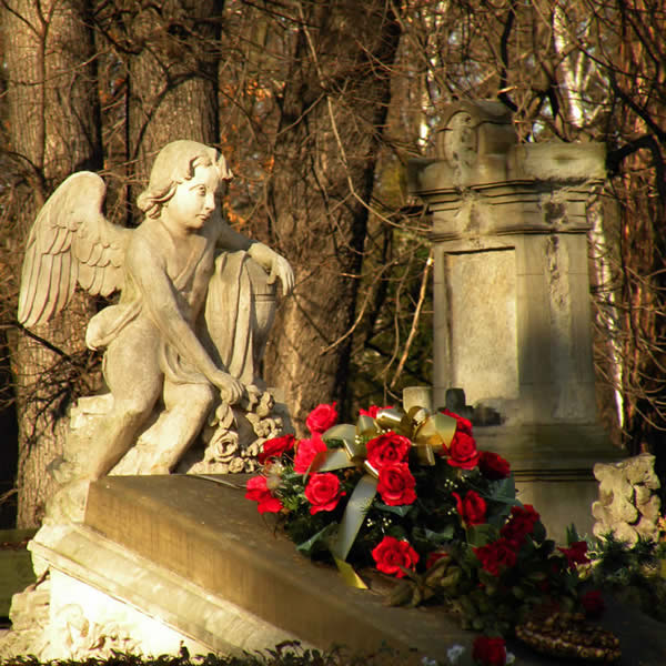 Rakowice Cemetery