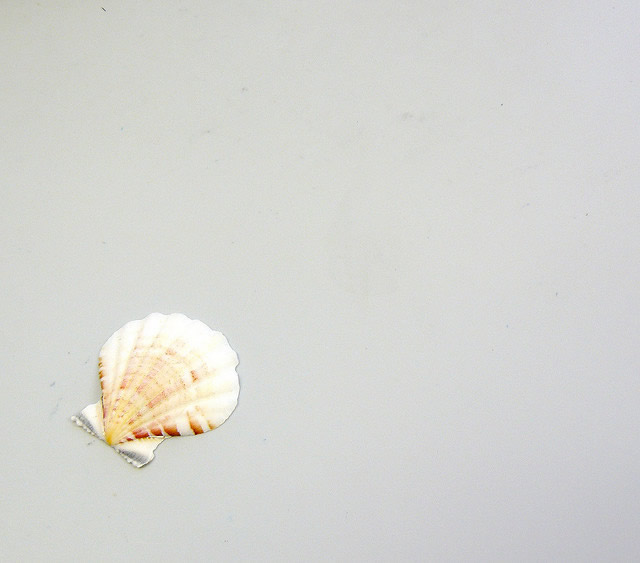 Shell