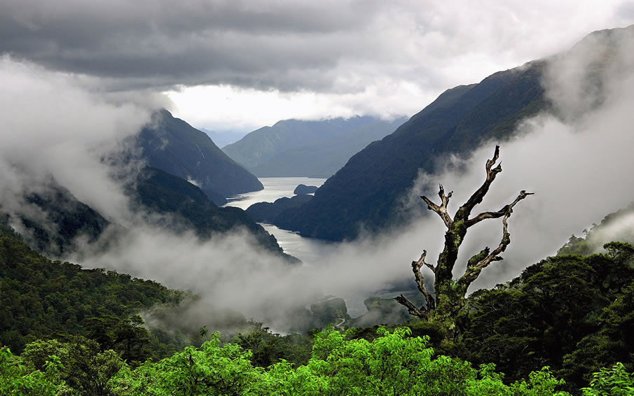 New Zealand Fog Mountains