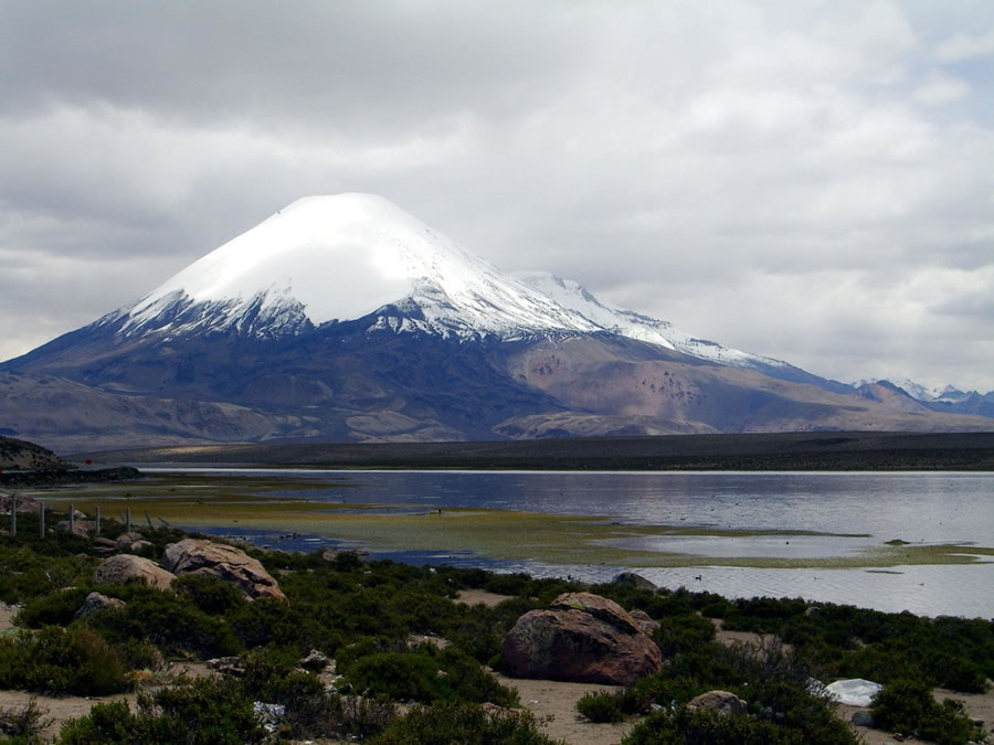 Sajama in Bolivia