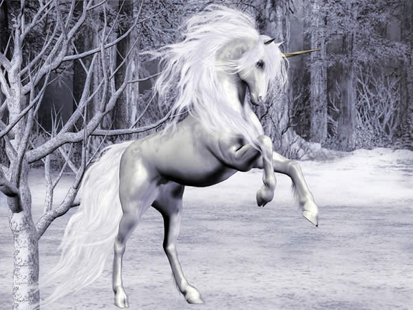 Unicorn
