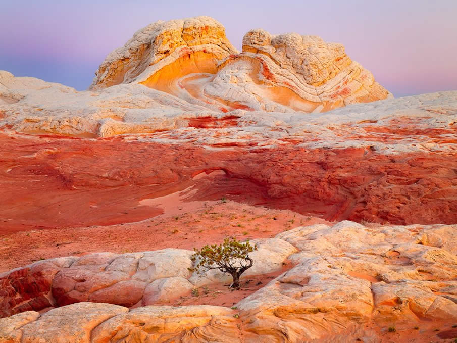 Arizona Butte