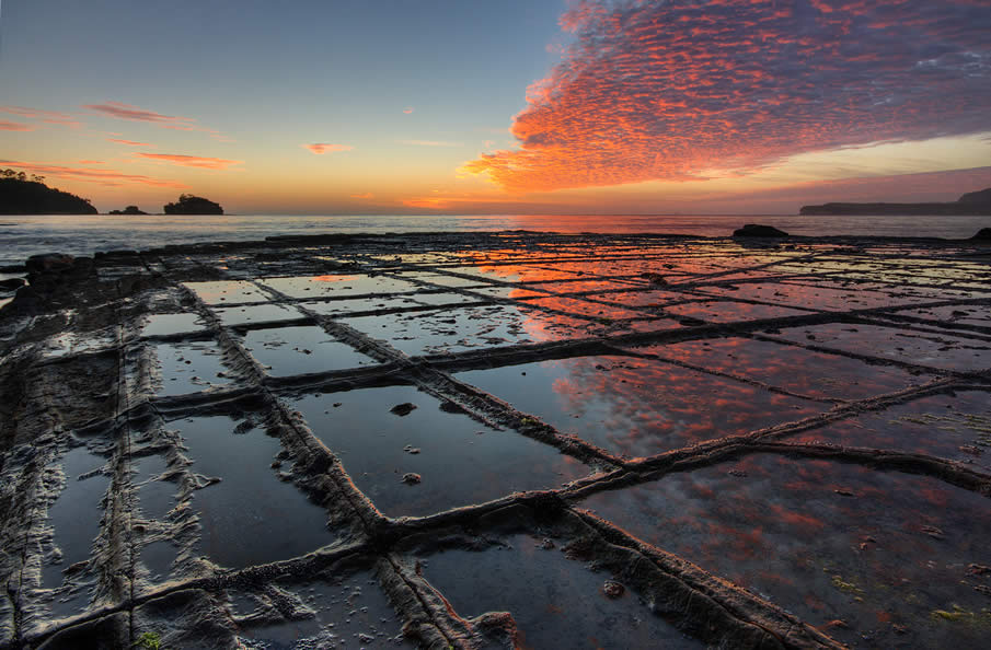 Tesselated pavement, Tasmania, Australia