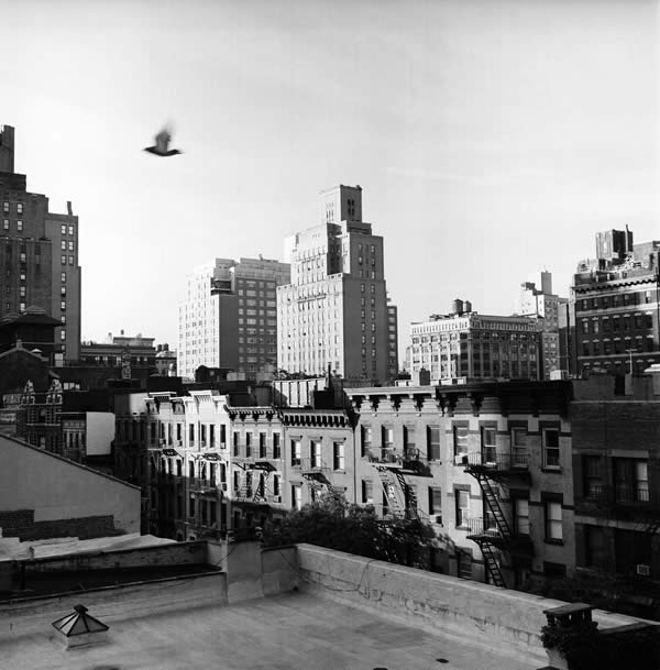 Rooftop, New York