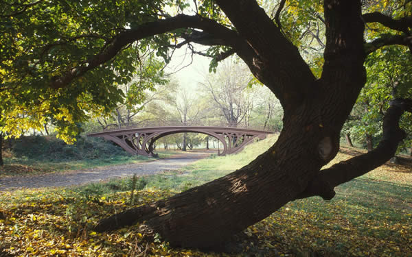 Gothic Bridge - Central Park