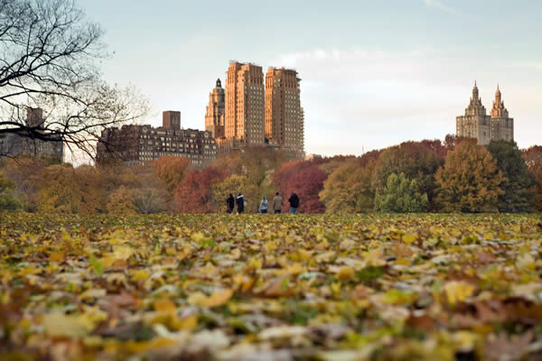 Central Park, New York