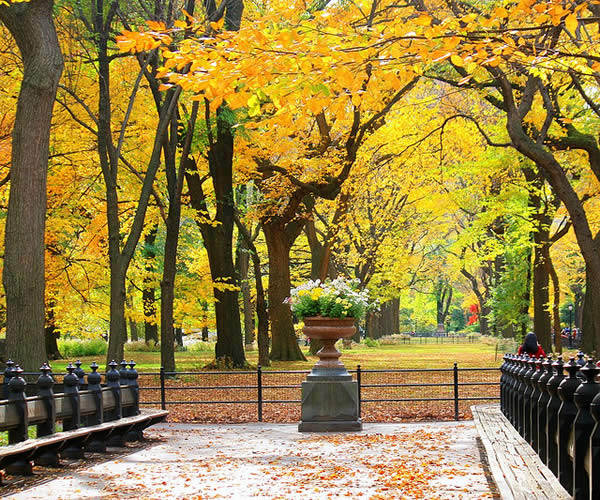 Central Park, New York City