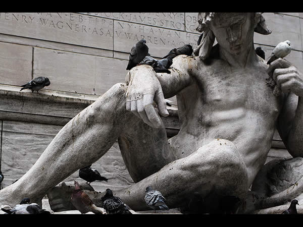 birds and statue in Central park