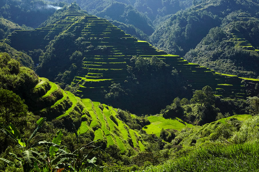 Rice Terraces Banaue