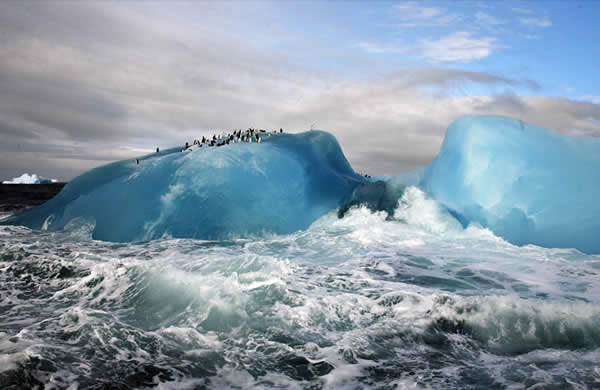 Blue Iceberg