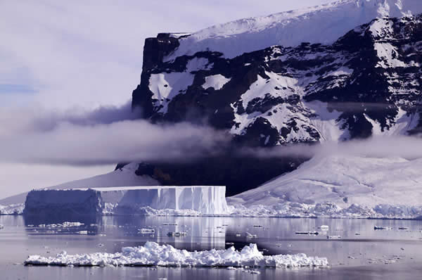 L3 Antarctic Illustration