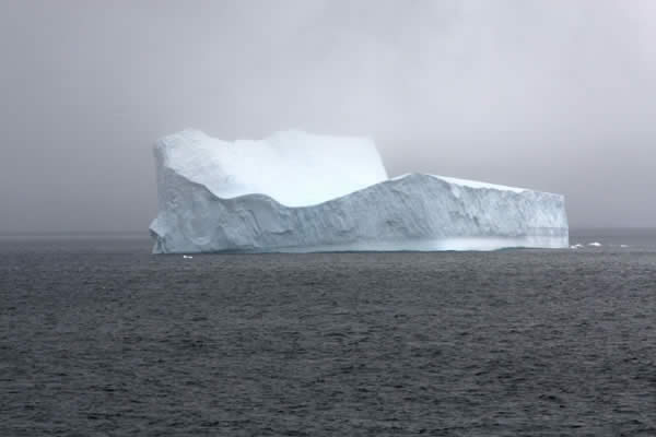 Iceberg