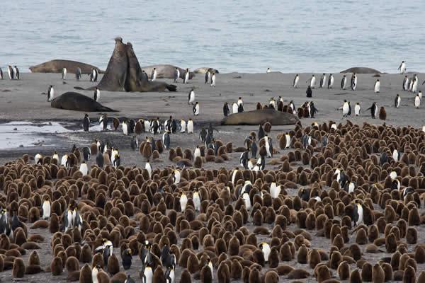 Busy Beach