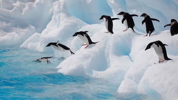 Antarctica 2007