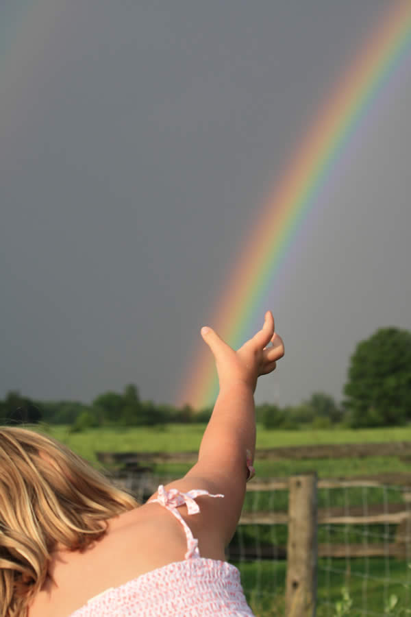 Catching the Rainbow