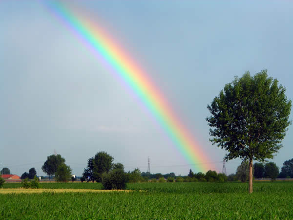 Rainbow