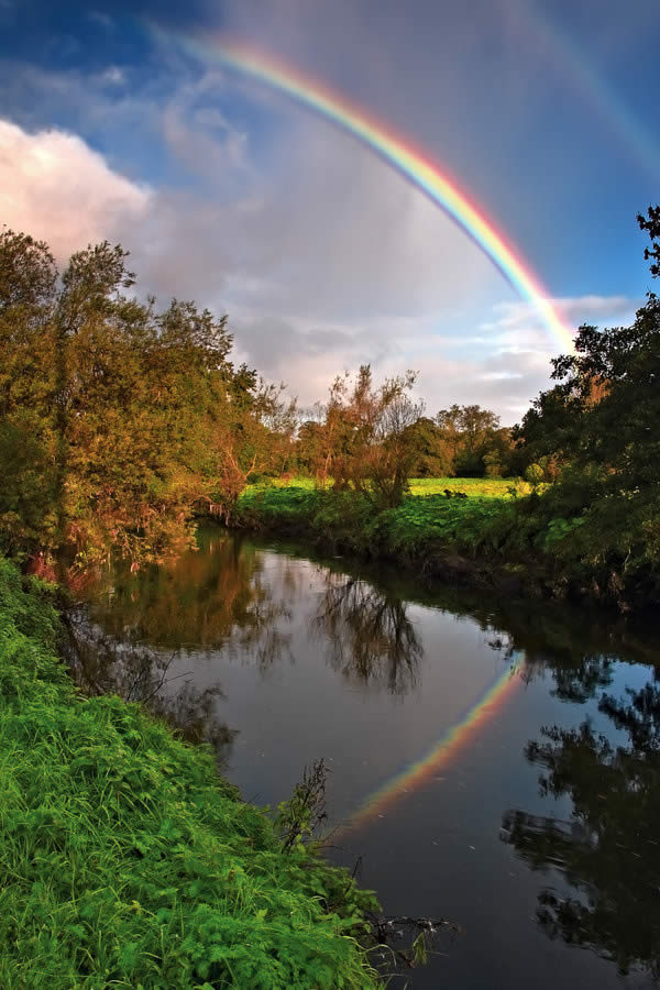 Lagan Rainbow