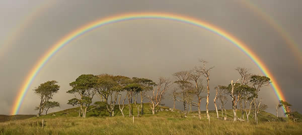 A world within a rainbow