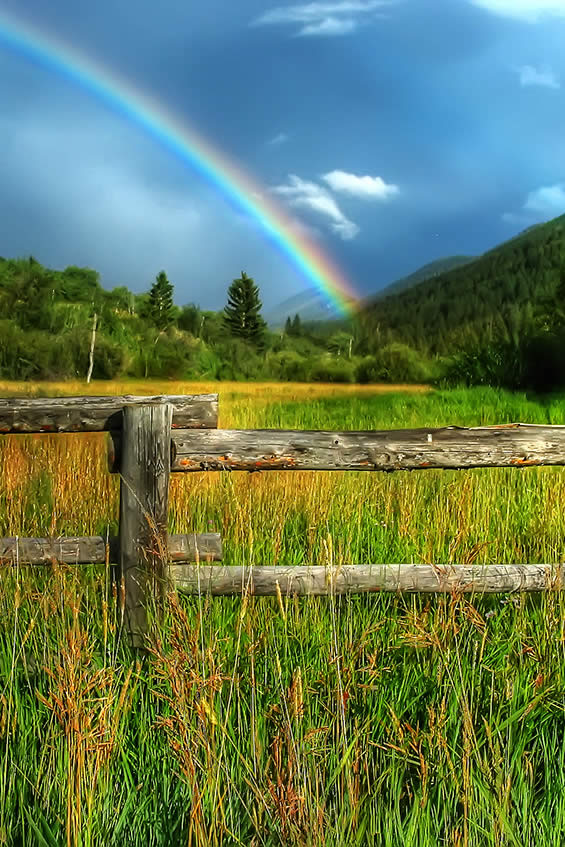 Jackson Hole Rainbow