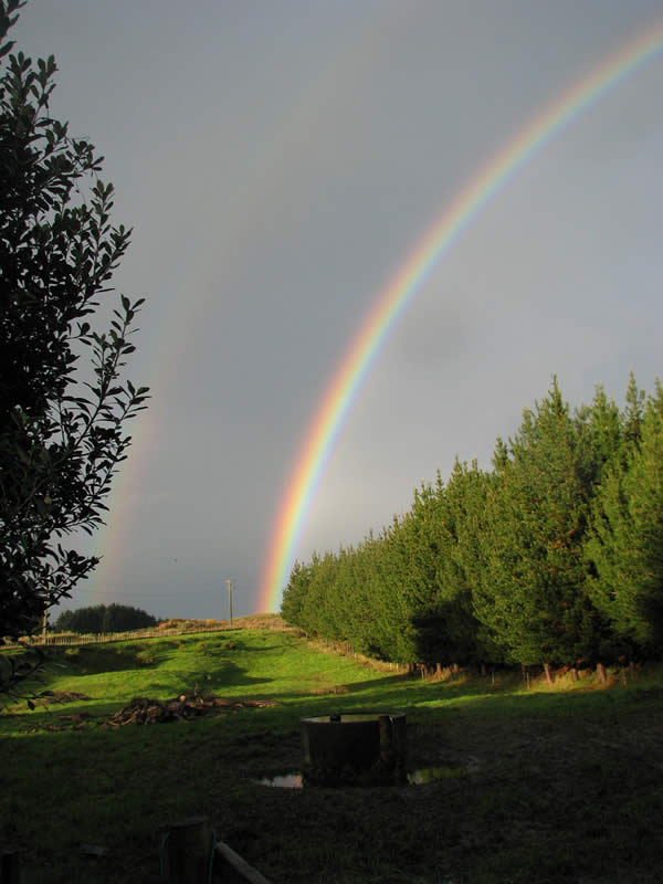 Double Rainbow