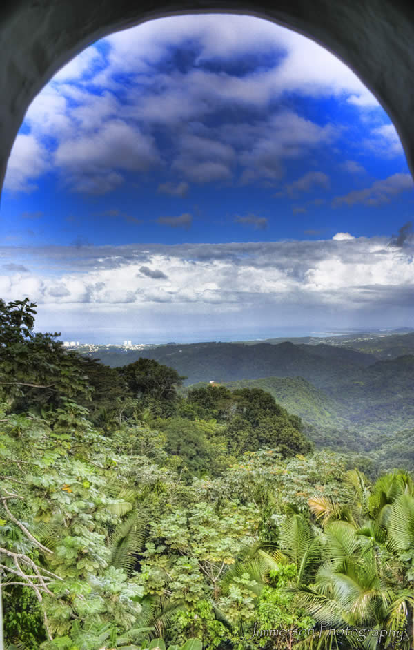 El Yunque Rainforest Mountain- Puerto Rico
