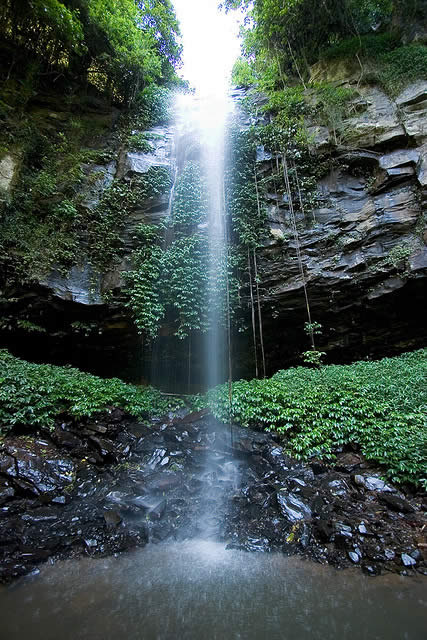 Rainforest waterfall