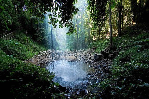 Rainforest waterfall