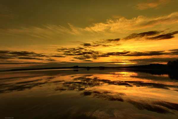Orange Reflections