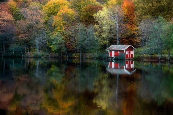 Autumn Reflection