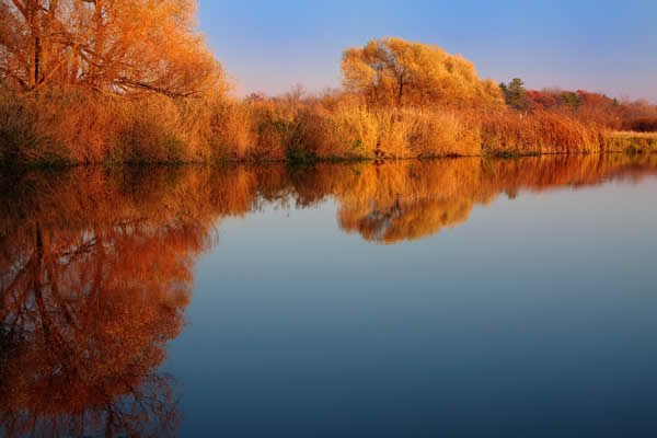 Grand River Reflections