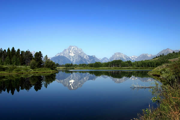 Oxbow Bend Reflection