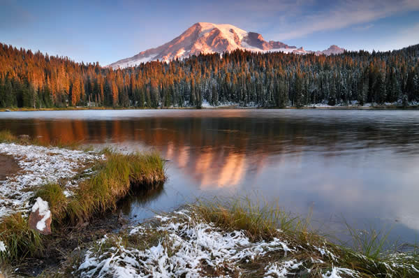 Winter Reflection